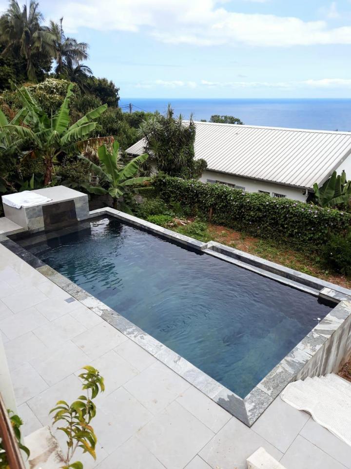 Des spécialistes en rénovation de piscine à L'Étang-Salé 